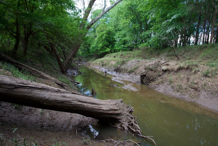 View North (along the creek)