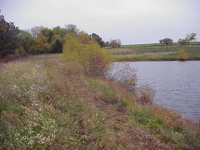 Small reservoir 20 meters south of the confluence.