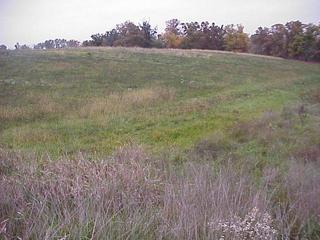 #1: Confluence site, looking northwest.