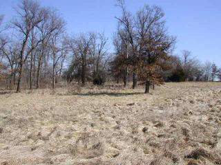 #1: View from the confluence to the east