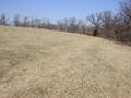 #2: View from the confluence to the north