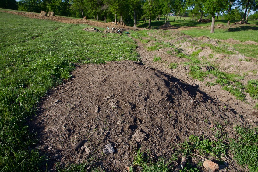 The confluence point lies on this small dirt pile, within a cattle farm