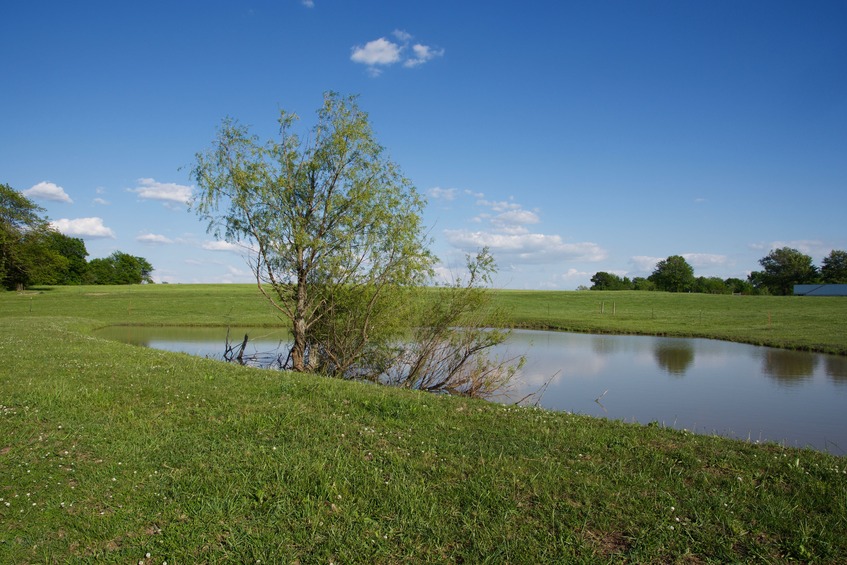 A small pond, just south of the point