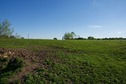 #3: View South (towards a small pond, not visible here)