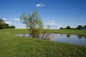 #7: A small pond, just south of the point