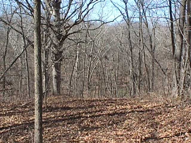 Looking north from confluence