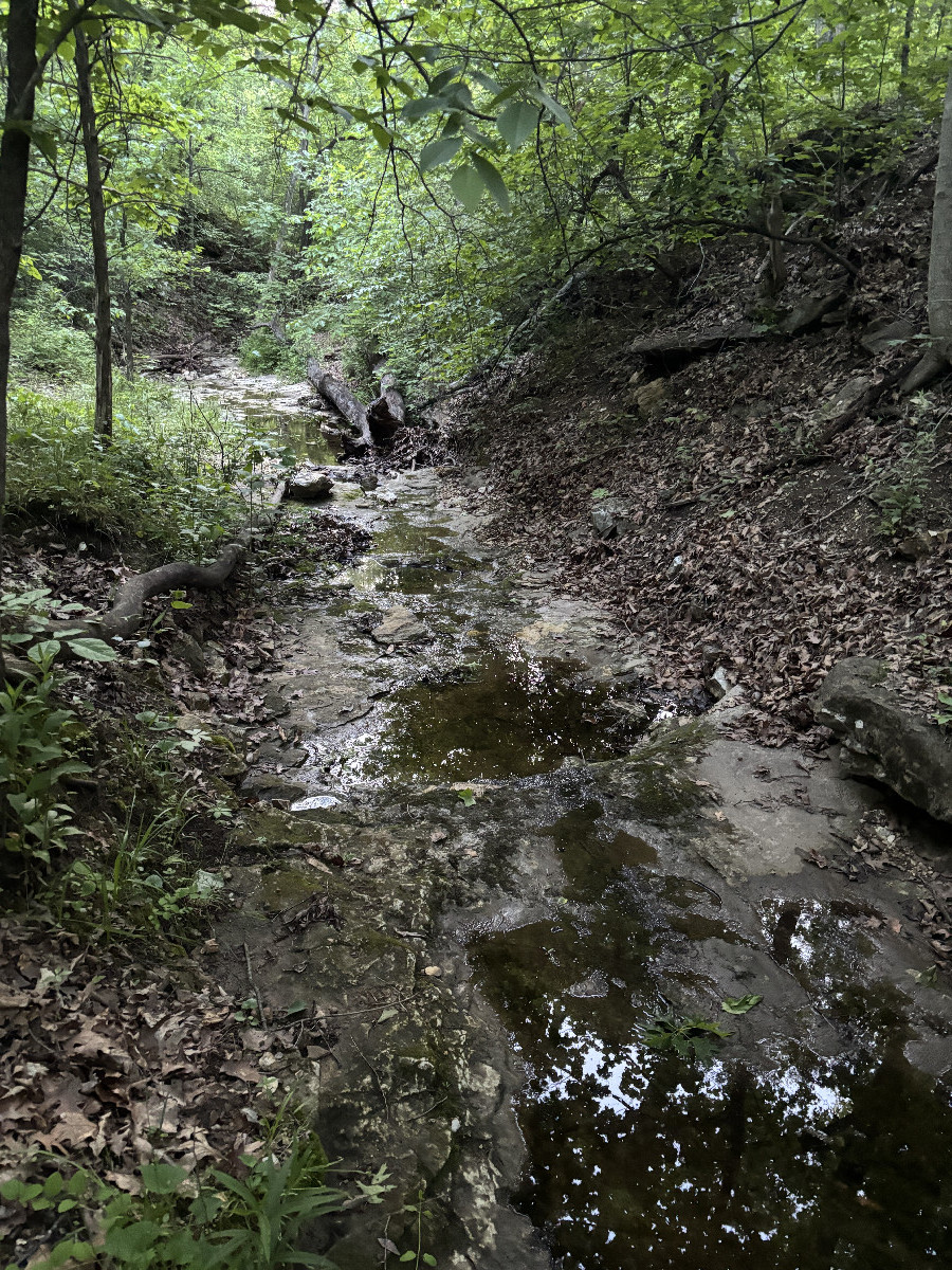 Ravine and Creek between the road and the confluence point. Looking northwest. 