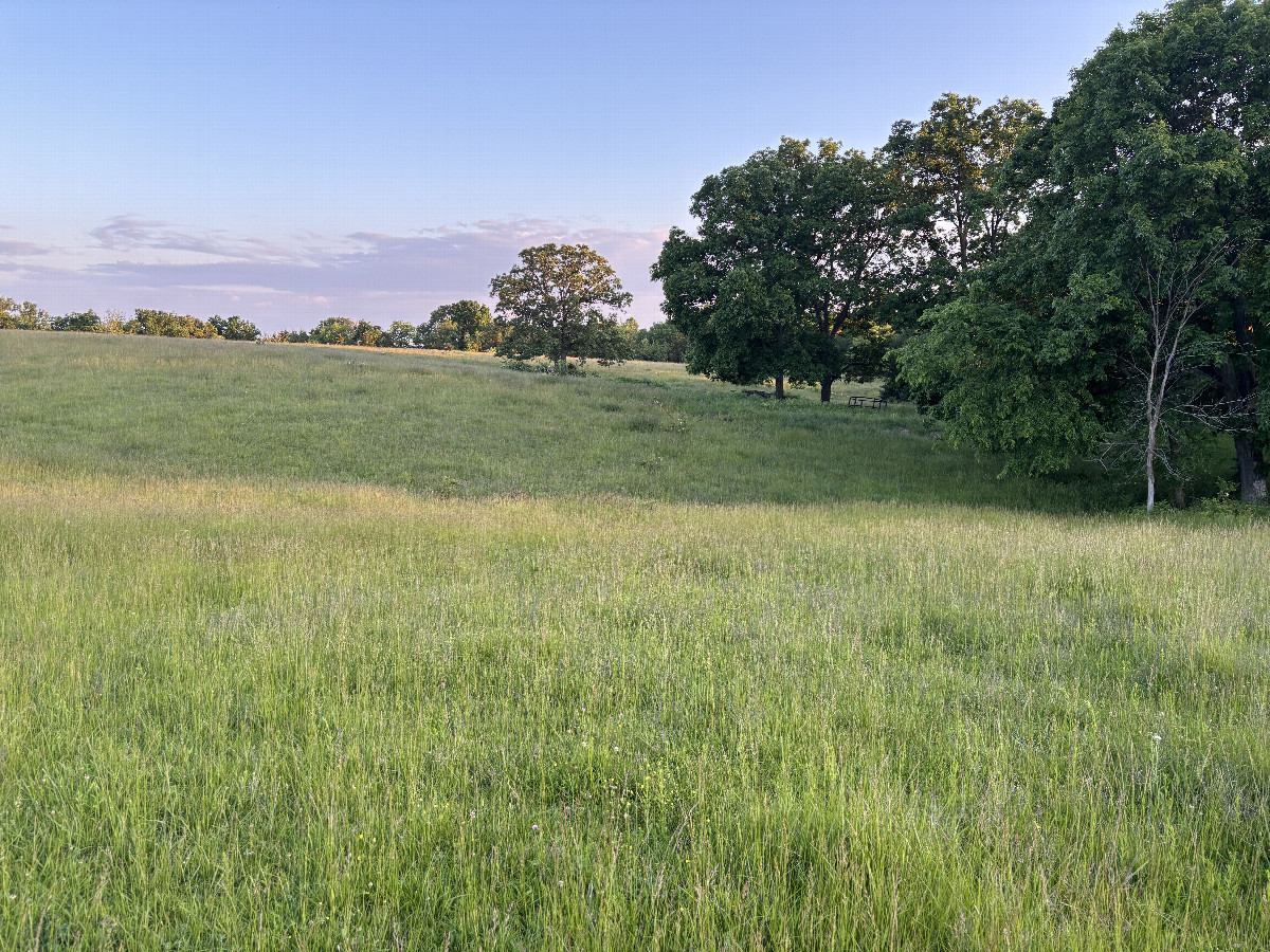The confluence lies across this meadow, down to the creek, up the other side and to the right side of this photograph. 