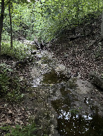 #11: Ravine and Creek between the road and the confluence point. Looking northwest. 