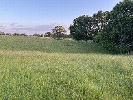 #8: The confluence lies across this meadow, down to the creek, up the other side and to the right side of this photograph. 