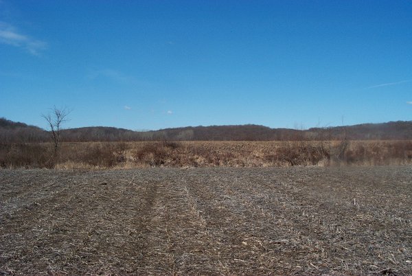 West view from confluence