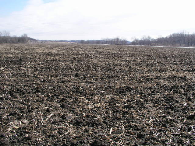 Looking east from 40N 95W.