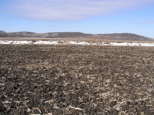 Looking west from 40N 95W across drainage ditch towards the Nodaway River.