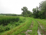 #10: View eastward on the walk back out