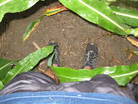 #7: Sinking down in the mud at the point