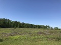 #5: Looking north at the confluence point from the closest road to the south.