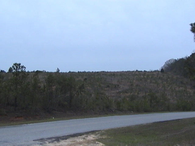 A veiw from CR 3919 @ CR 3915. This previously harvested strip of land might be the best route to the Confluence.