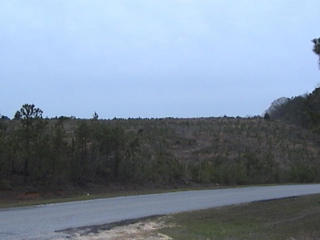 #1: A veiw from CR 3919 @ CR 3915. This previously harvested strip of land might be the best route to the Confluence.