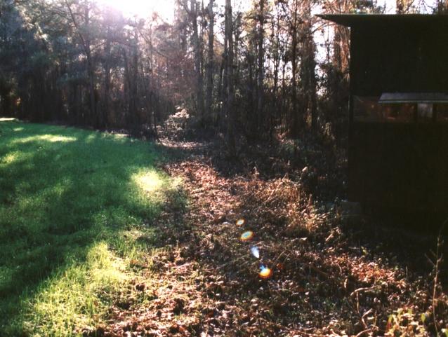 View from hunting blind