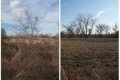 Visit #1: [19-Feb-01]