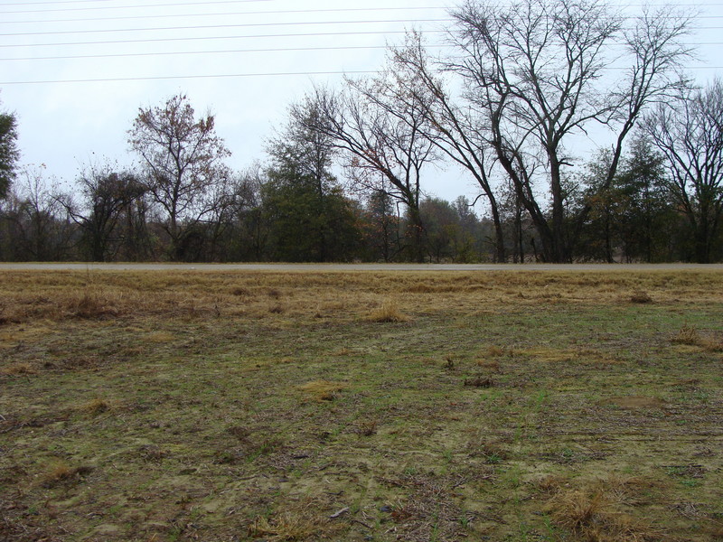 Looking south from 34N 90W