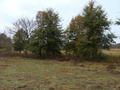 #2: Looking north from 34N 90W