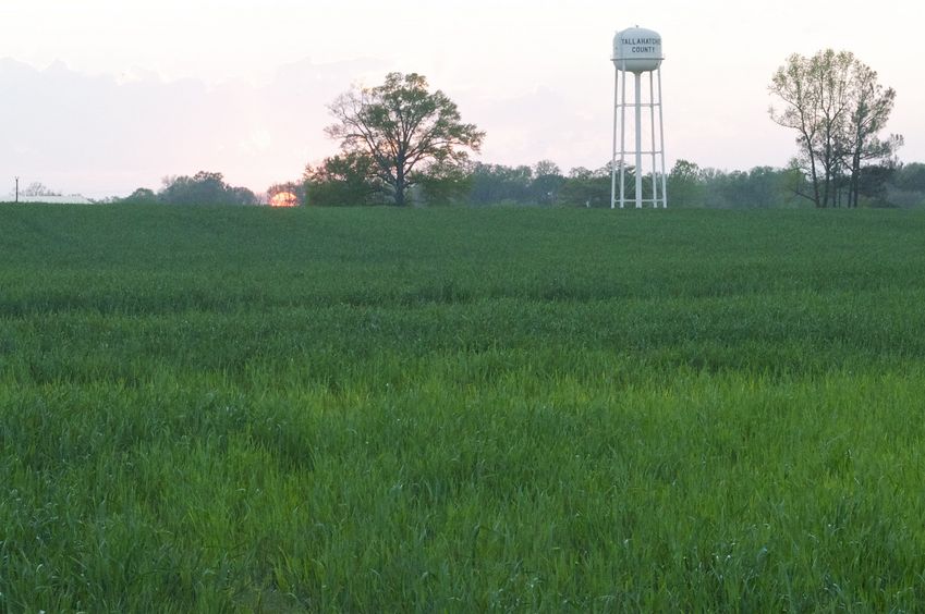 A photo of the setting sun, taken just feet from the confluence point