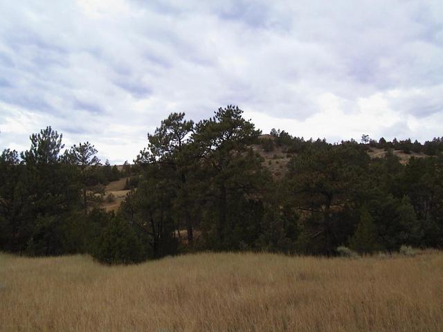 Looking west from the confluence