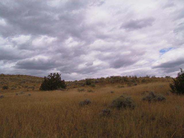 Looking east from the confluence