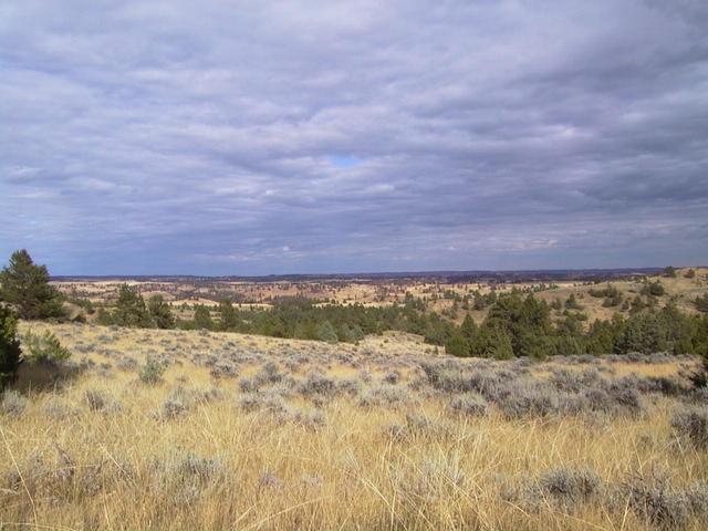 Sunlight illuminating the sagebrush flats just north of the confluence