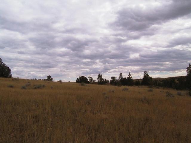 Looking south from the confluence