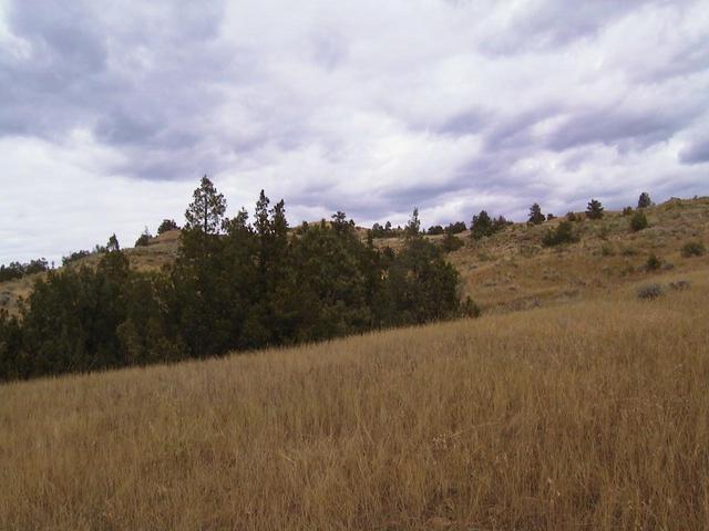 Looking north from the confluence