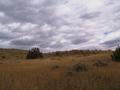 #3: Looking east from the confluence