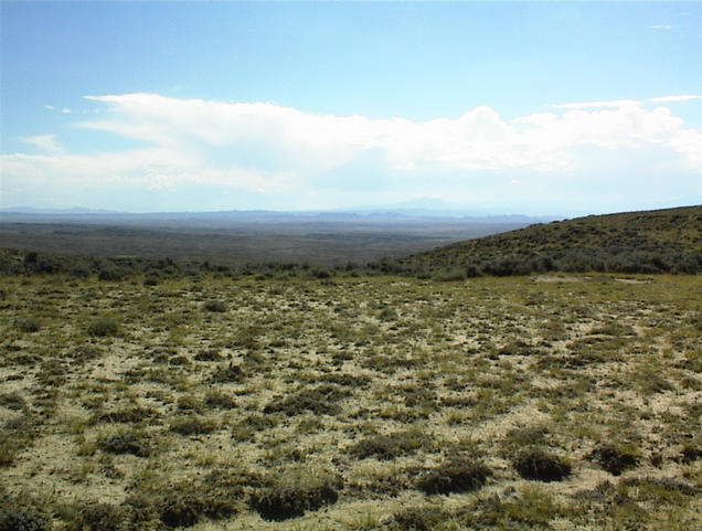 View south from the confluence, with Hart Mountain