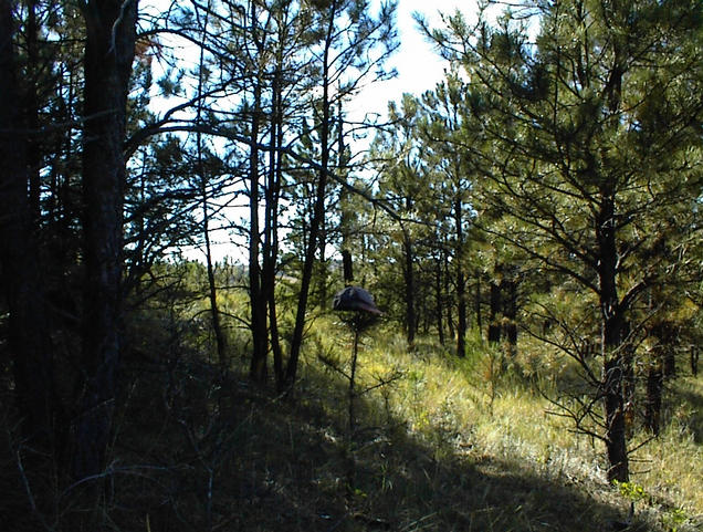 West view from the confluence