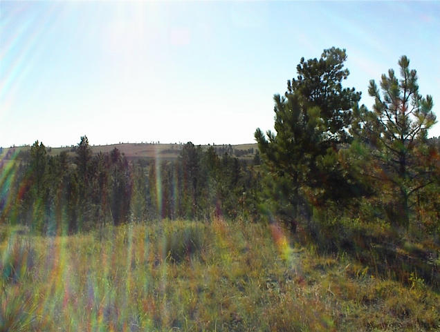 Southwest view from hill