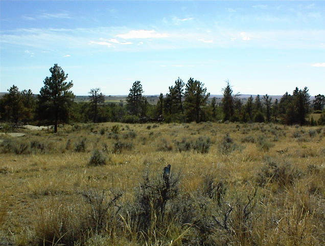 South view from the confluence