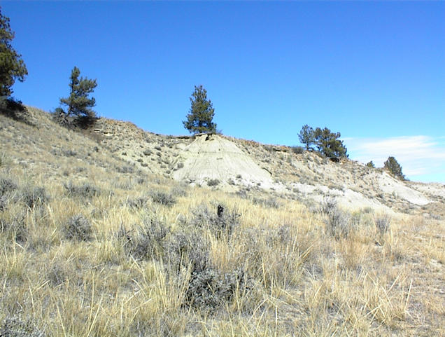 North view from the confluence