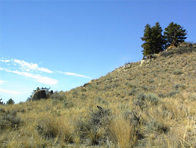 West view from the confluence