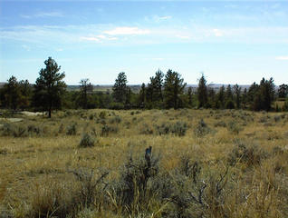 #1: South view from the confluence