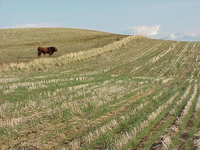 View to the southeast from the confluence.