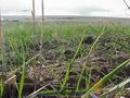 #6: View to the northwest from the confluence.