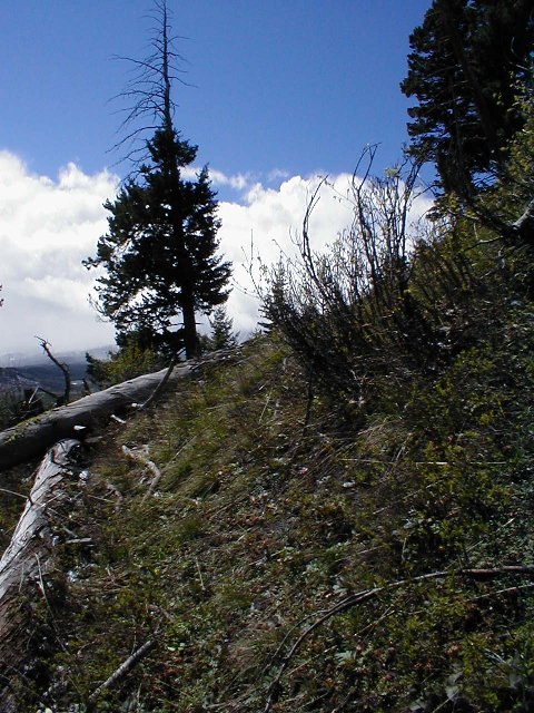 Looking south from the confluence