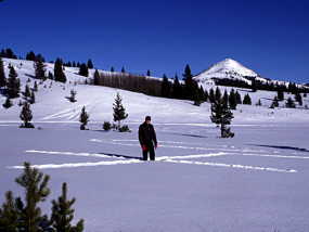 #1: Les Marks the Spot - Sugarloaf Mtn. in background