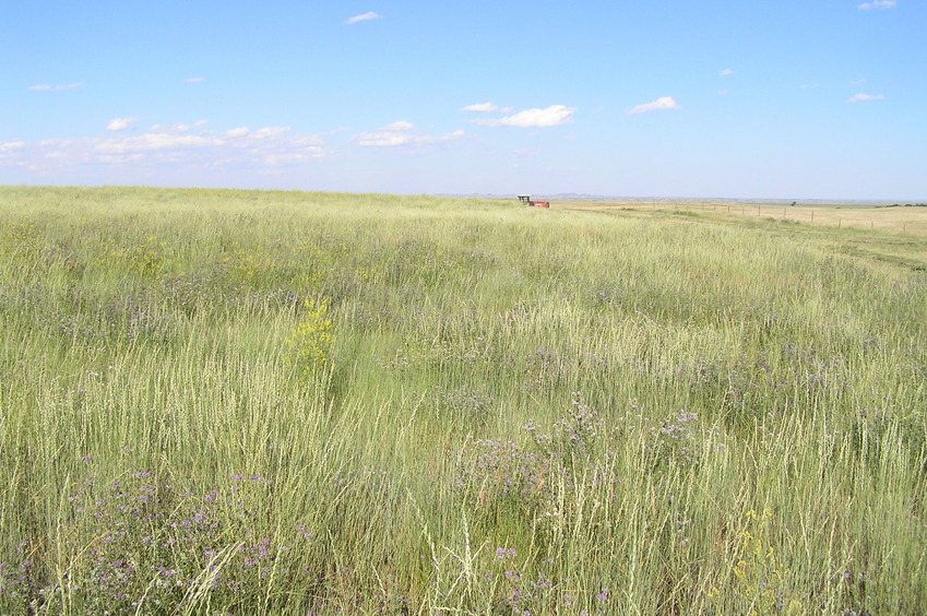 View to the east from the confluence.