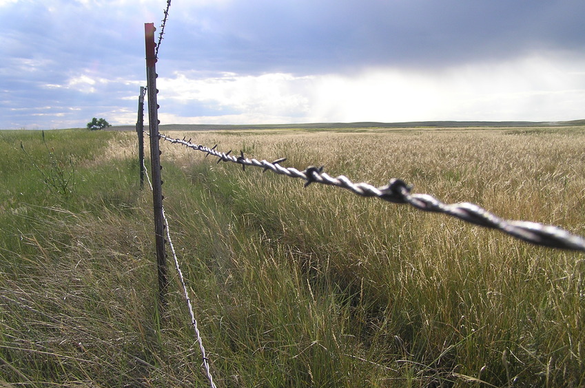 Fence view about 150 meters south of the confluence point, looking west.