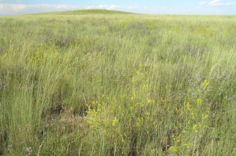 #1: Site of 47 North 105 West, in foreground, looking northeast.