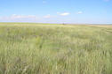 #4: View to the east from the confluence.