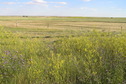 #5: View to the south from the confluence.