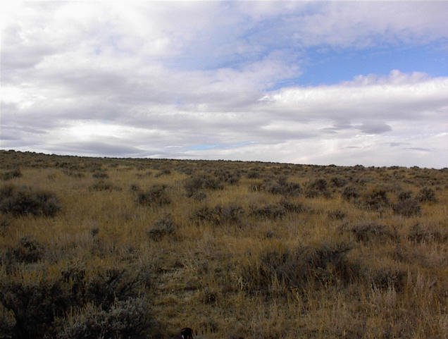 West view from the confluence